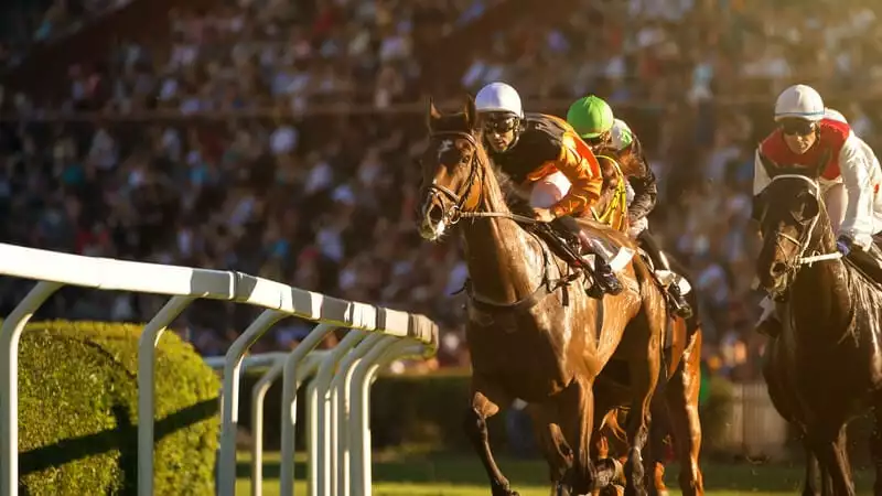 Best Crypto Horse Racing Betting Sites in 2026: Top Bitcoin Sportsbooks