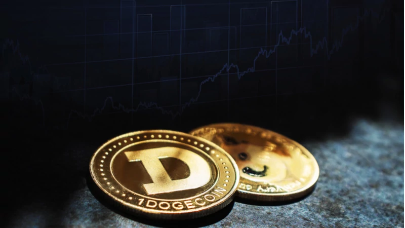 Top Dogecoin Casinos: Best Sites to Gamble with DOGE